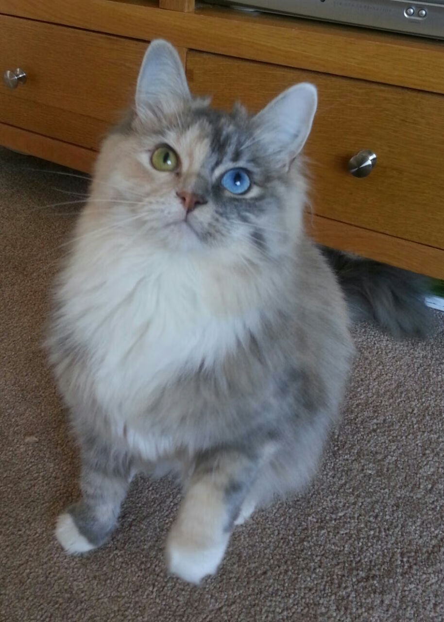 太空狼人杀未来之战全球邀战赛预热