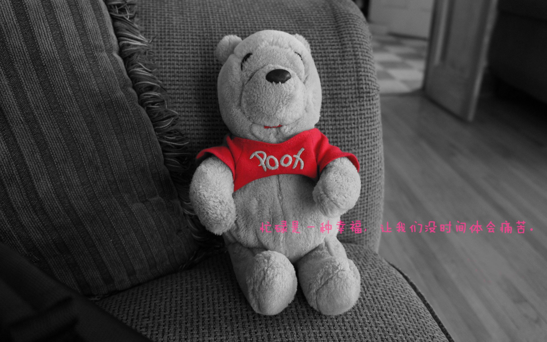 政府加大足球投入，支持产业发展，政府加大足球投入,支持产业发展