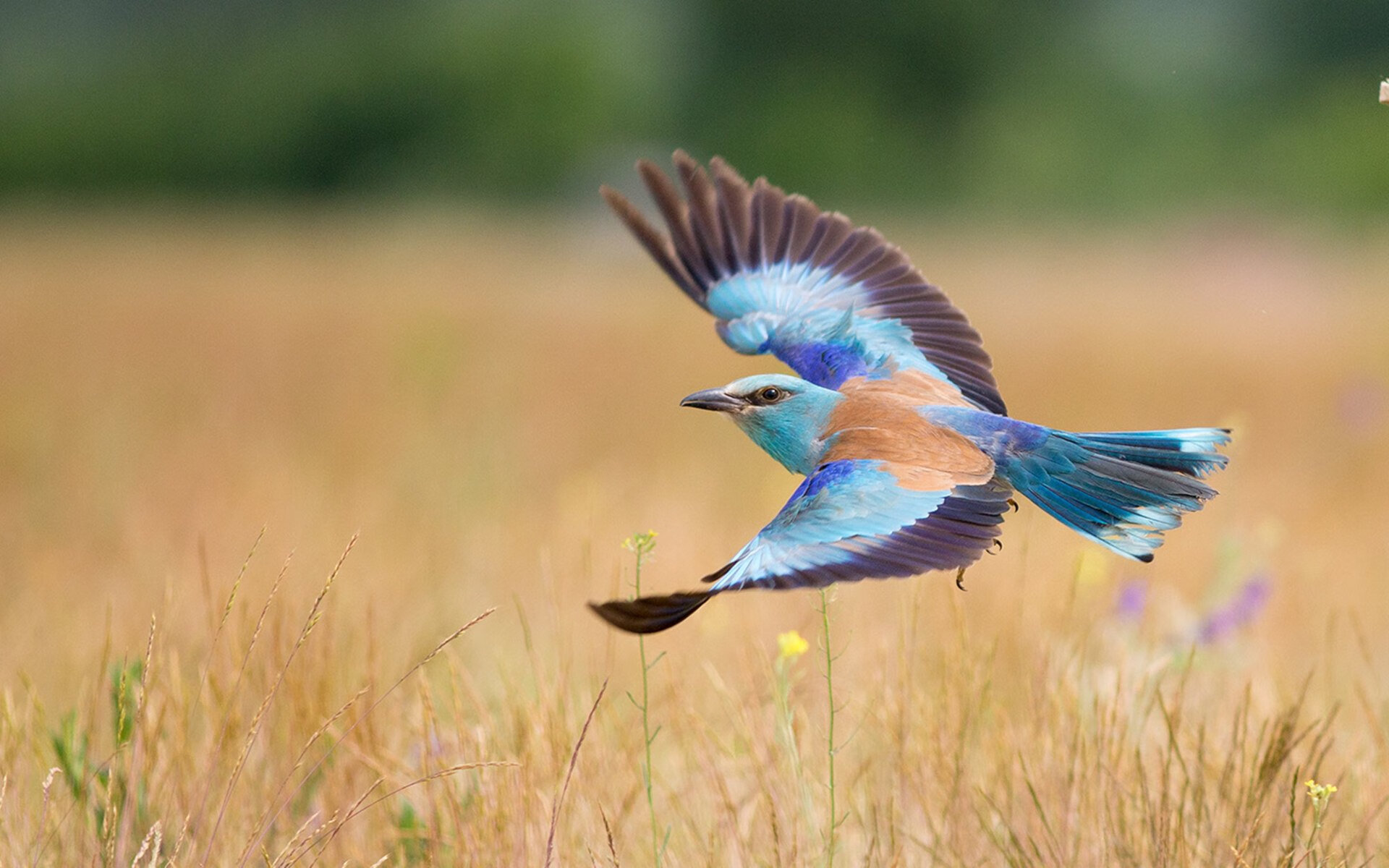 爱游戏登录入口-“青春逐梦”青少年篮球公益电影节在北京隆重举办，弘扬体育正能量