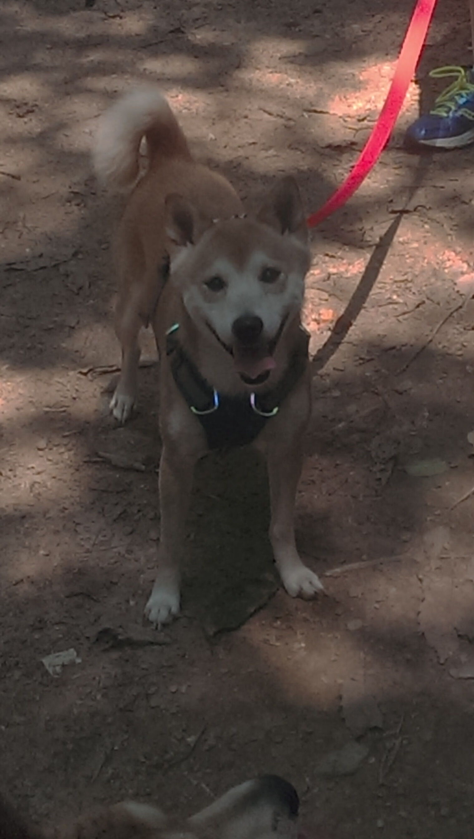 爱游戏官方网站-《职业玩家的日常：生涯规划与训练秘诀》，职业玩家 在线阅读